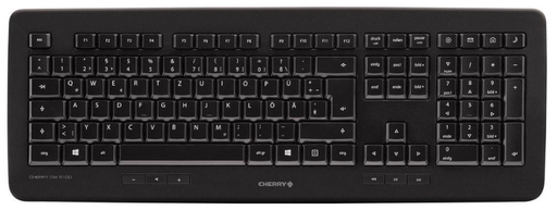 [CLAVIER SS FIL CHERRY DW5100] Kit Clavier/souris ss fil Cherry DW5100